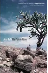 The Plain in Flames / The Burning Plain