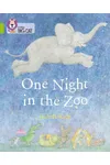 One Night in the Zoo