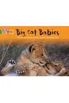 Big Cat Babies