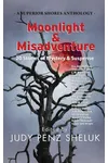 Moonlight & Misadventure: 20 Stories of Mystery & Suspense