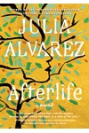 Afterlife