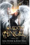 Shadow Angel: Book Two