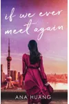 If We Ever Meet Again