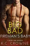 Big Bad Fireman's Baby / His for One Night