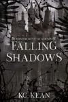 Falling Shadows