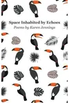 Space Inhabited by Echoes