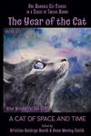 A Cat of Space and Time