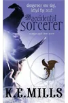 The Accidental Sorcerer