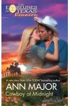 Cowboy at Midnight