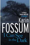 I Can See in the Dark