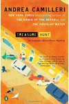 Treasure Hunt