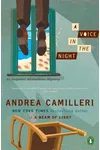 A Voice in the Night