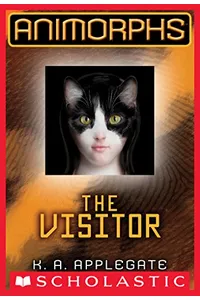 The Visitor