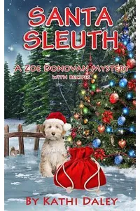 Santa Sleuth