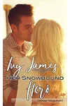 Her Snowbound Hero