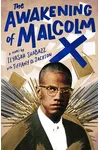 The Awakening of Malcolm X