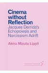 Cinema without Reflection
