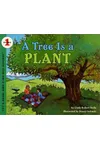 A Tree Is a Plant