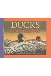 Ducks Don't Get Wet