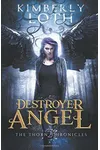 Destroyed / Destroyer Angel