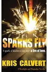 Sparks Fly