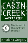 The Secret of the Junkyard Shadow