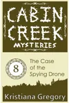 The Case of the Spying Drone