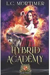 Hybrid Academy: Year Three