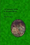 The Bobbsey Twins At Meadow Brook / Mystery at Meadowbrook