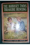 The Bobbsey Twins Treasure Hunting