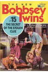 The Secret of the Stolen Clue