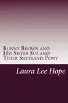 Bunny Brown and His Sister Sue and Their Shetland Pony