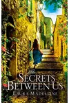 The Secrets Between Us
