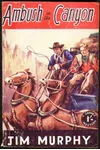Ambush Canyon