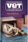Storm Rescue