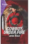 Cowboy Under Fire