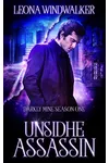 Unsidhe Assassin