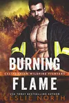 Burning Flame