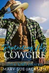 The Cowboy’s Single Mom