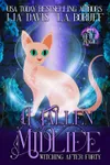A Fallen Midlife