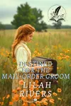 Destined for the Mail-Order Groom