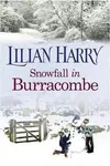 Snowfall in Burracombe
