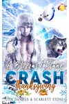 A Blizzard Plane Crash Thanksgiving
