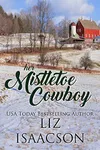 Kissing Santa at Steeple Ridge / Her Mistletoe Cowboy