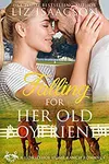The Long Way Home / Second Chance Family / Falling for Her Old Boyfriend