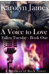 A Voice to Love