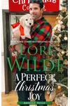 A Perfect Christmas Joy