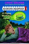 Flying Birthday Cake?