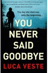 You Never Said Goodbye