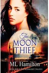 The Moon Thief
